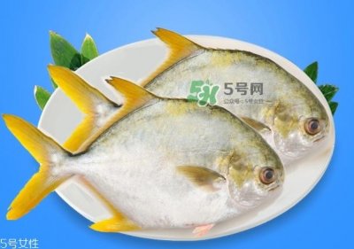 ​金鲳鱼是海鱼吗？金鲳鱼的刺多吗？