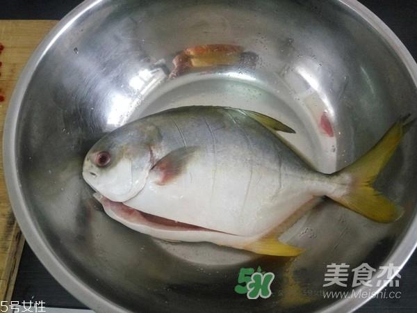 金鲳鱼是海鱼吗？金鲳鱼的刺多吗？