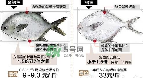 金鲳鱼是海鱼吗？金鲳鱼的刺多吗？