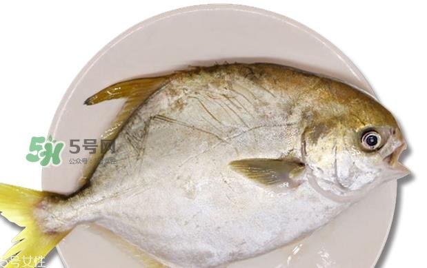 金鲳鱼是海鱼吗？金鲳鱼的刺多吗？