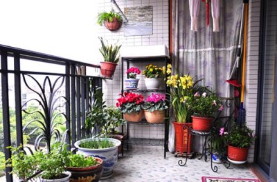 ​阳台怎么种花最合适？