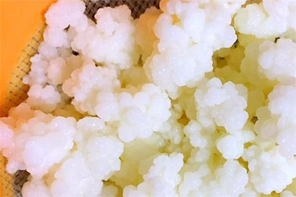 雪莲菌能降血糖吗 雪莲菌能治糖尿病吗
