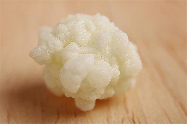 雪莲菌能降血糖吗 雪莲菌能治糖尿病吗