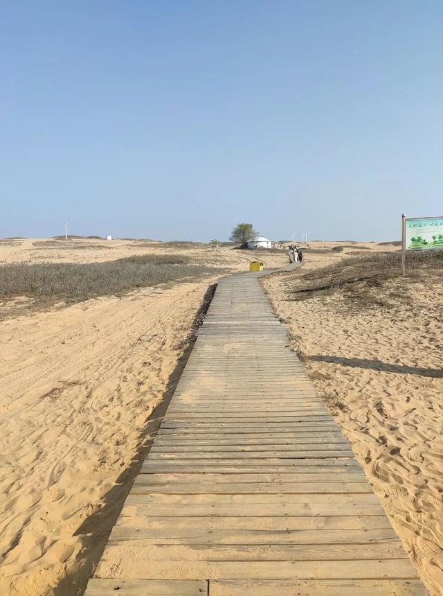 厚田沙漠一日游攻略（周末亲子游2--厚田沙漠）(5)