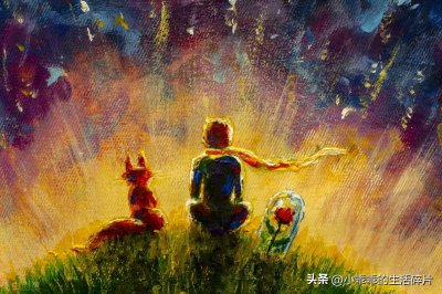 ​《小王子》：重要的东西，眼睛是看不到的
