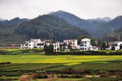 ​张家界重点旅游景点投资详情