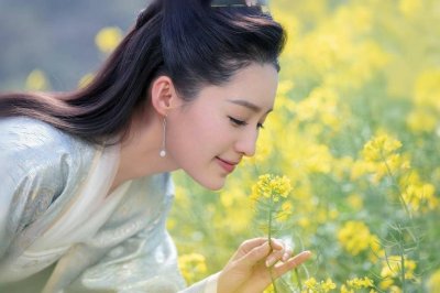 ​庆余年范闲几个老婆 范闲的老婆都是谁