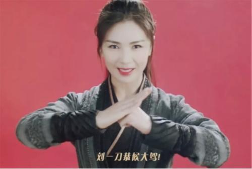 刘涛个人资料介绍（刘涛的红黑往事）(26)