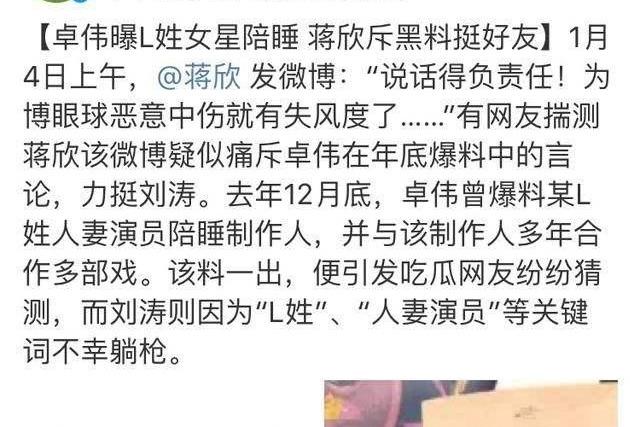 刘涛个人资料介绍（刘涛的红黑往事）(20)