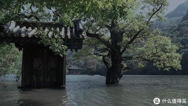 十大必看经典韩国电影（24部精选韩国高分电影）(63)