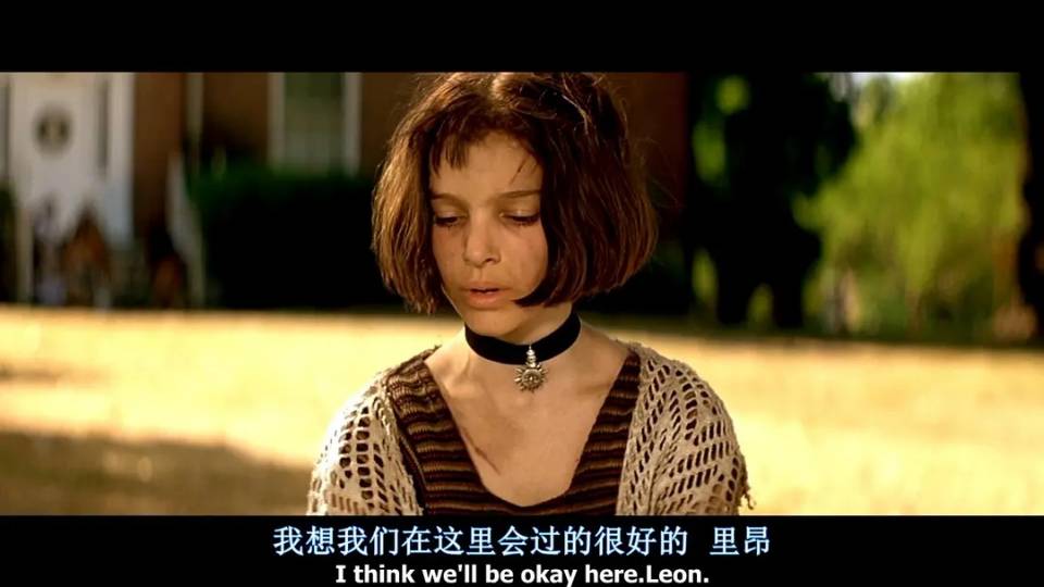 这个杀手不太冷讲述的什么故事（最后结局是什么意思）