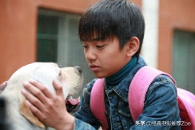 ​高分虐心催泪电影(泪点再高也会哭的电影)