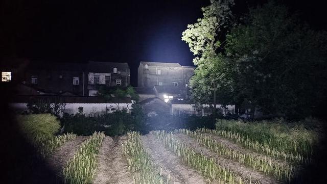 目前最好的强光手电评测（这是一份手电清单）(27)