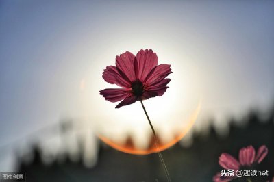 ​《雪中悍刀行》徐凤年与洛阳：人生若只如初见，何事秋风悲画扇