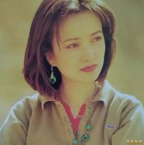 ​何晴老公是谁 实力派男星廖京生把妻子宠上天