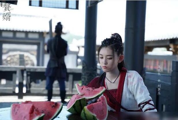 赘婿