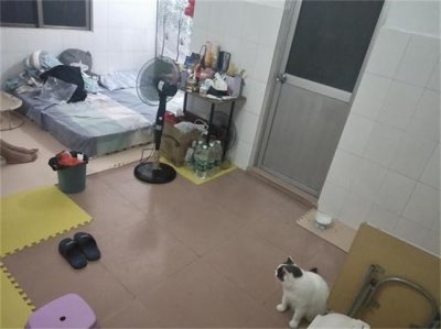 ​出租房为什么那么耗电