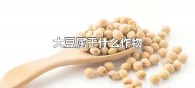 ​大豆属于什么作物（大豆属于什么农作物）