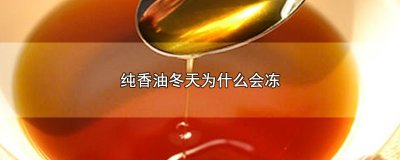 ​纯香油冬天为什么会冻