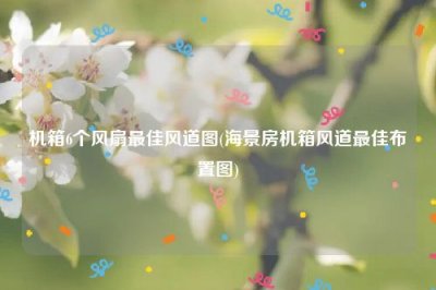 ​机箱6个风扇最佳风道图(海景房机箱风道最佳布置图)