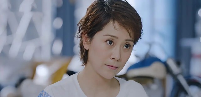 海清演过的电视剧(海清饰演的十大经典角色)