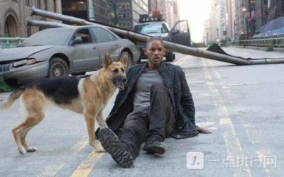 ​逃亡电影有哪些推荐2025(逃亡电影排行榜前五)