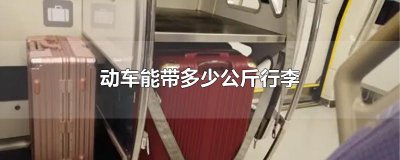 ​动车能带多少公斤行李