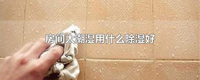 ​房间太潮湿用什么除湿好