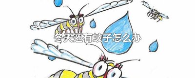 ​冬天还有蚊子怎么办
