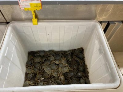 ​付刚口供河蟹什么意思（付刚口供河蟹意思是什么）
