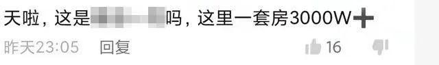 苑琼丹电视剧（苑琼丹三次向男友求婚被拒）