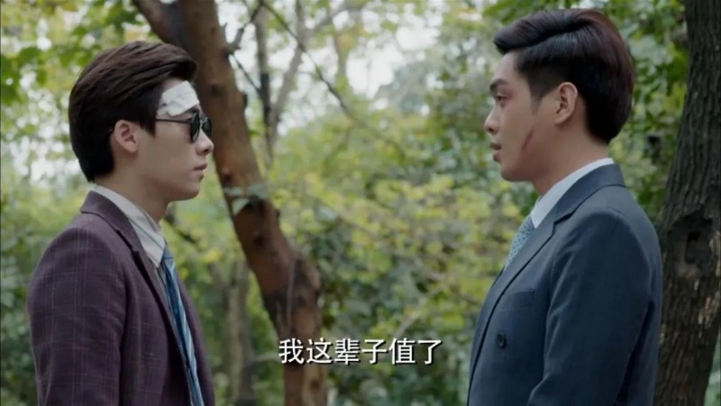 麻雀电视剧剧情介绍（麻雀为假妻子赔上真心的唐山海）