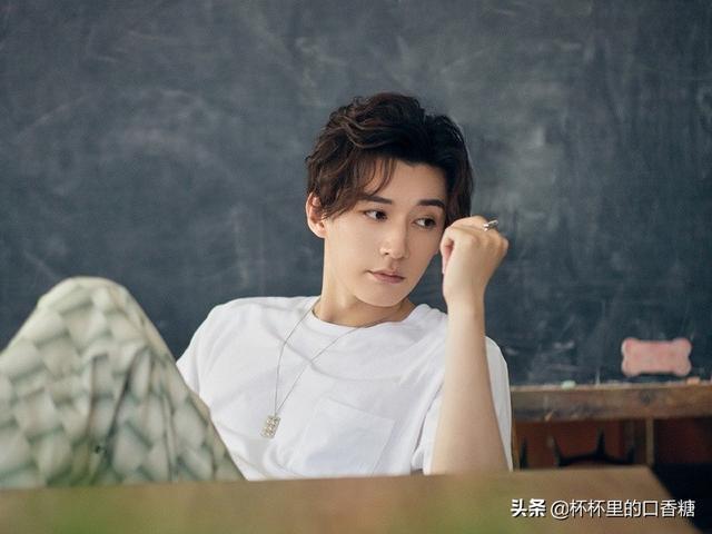 张予曦成毅还演过什么电视剧（琉璃捧红的9位演员资源差别大）(16)