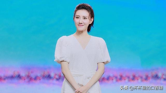 张予曦成毅还演过什么电视剧（琉璃捧红的9位演员资源差别大）(24)