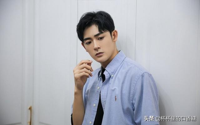 张予曦成毅还演过什么电视剧（琉璃捧红的9位演员资源差别大）(35)
