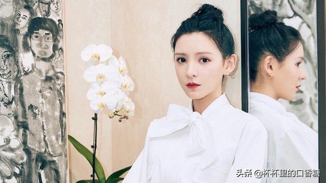 张予曦成毅还演过什么电视剧（琉璃捧红的9位演员资源差别大）(12)