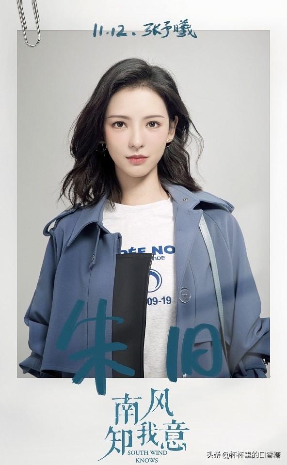 张予曦成毅还演过什么电视剧（琉璃捧红的9位演员资源差别大）(14)