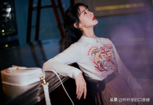 张予曦成毅还演过什么电视剧（琉璃捧红的9位演员资源差别大）(8)
