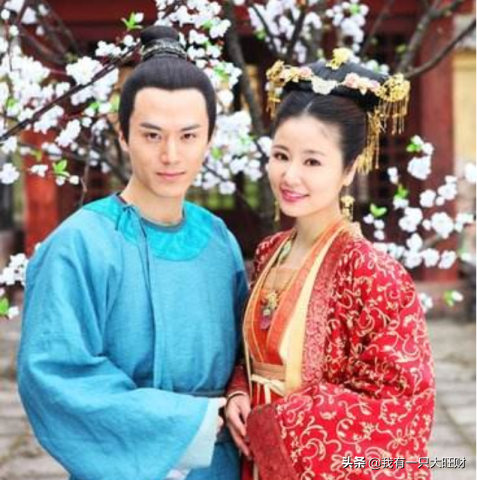倾世皇妃讲述的什么内容（倾世皇妃剧情介绍大概）