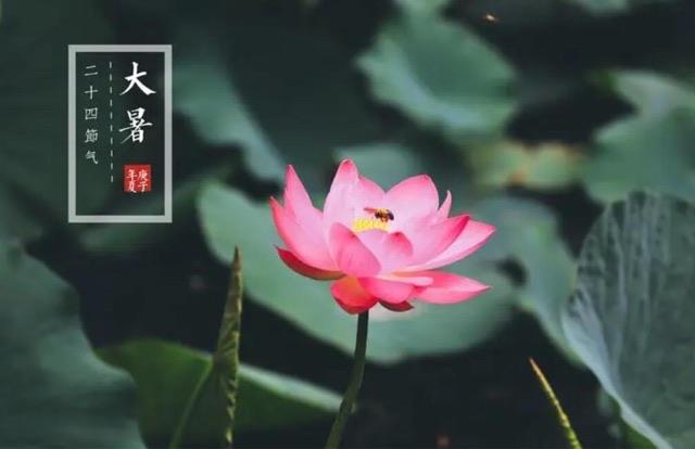 生活大暑是什么样的一个节气?大暑有哪些要注意的?  1