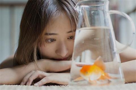 拍案叫绝的撩妹金句