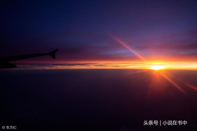 ​《傲世九重天》最老谋深算的人 第五轻柔和莫天机比不过他