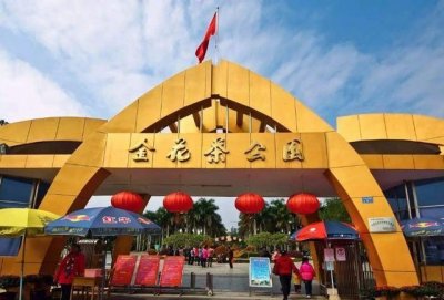 ​广西最“低调”的公园，拥有“植物界的大熊猫”