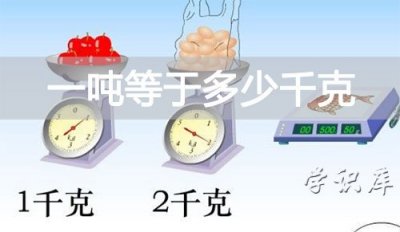 ​一吨等于多少千克(一吨是多少斤少公斤)