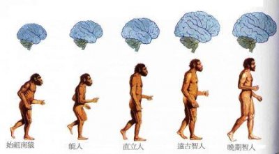 ​阿拉斯加多少钱一只纯种