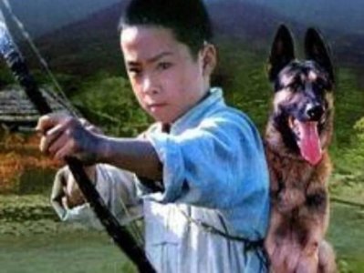 电影《赛虎》成为了许多人心中难以忘怀的经典之作。