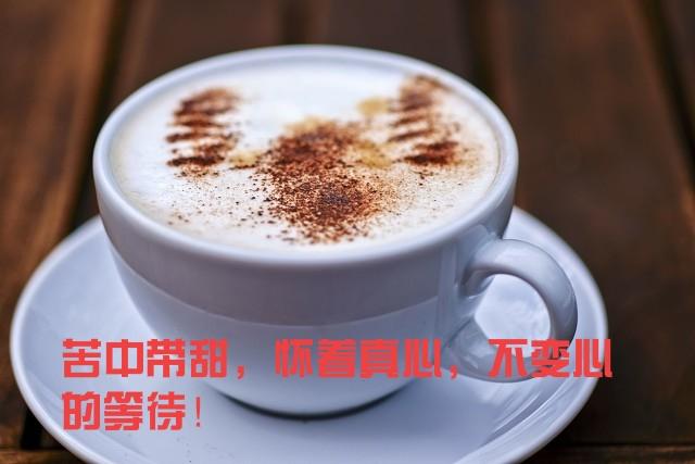 手磨卡布奇诺咖啡做法（做一杯卡布奇诺咖啡）(4)