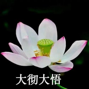 ​人究竟在什么情况下才能够大彻大悟呢？发人深省，令人深思