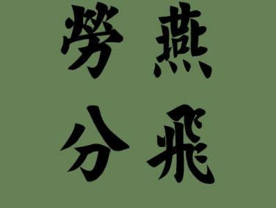 ​劳燕分飞指什么动物（”劳燕分飞”包含2种鸟，除了燕子外，你知道另一种鸟儿