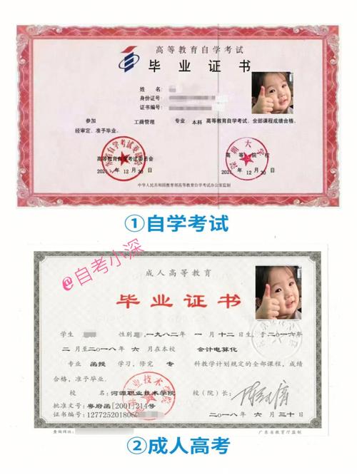 自考有几种证书（自考能考哪些证）